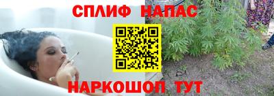 эйфоретик Можайск