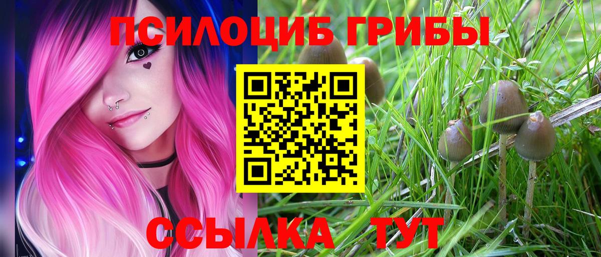 Псилоцибиновые грибы Cubensis Учалы