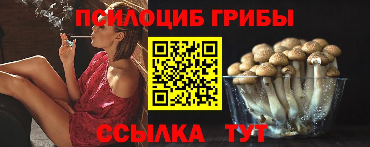 Псилоцибиновые грибы Psilocybine cubensis  Вход с VPN  Учалы 